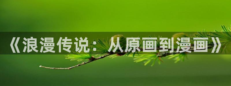 禁漫天堂哔咔漫画：《浪漫传说：从原画到漫画》