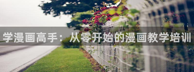 哔咔漫画h：学漫画高手：从零开始的漫画教学培训